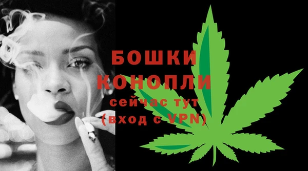 PSILOCYBIN Переславль-Залесский