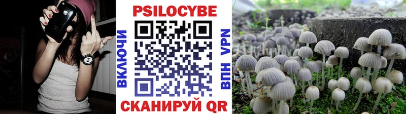 Галлюциногенные грибы GOLDEN TEACHER Боровск