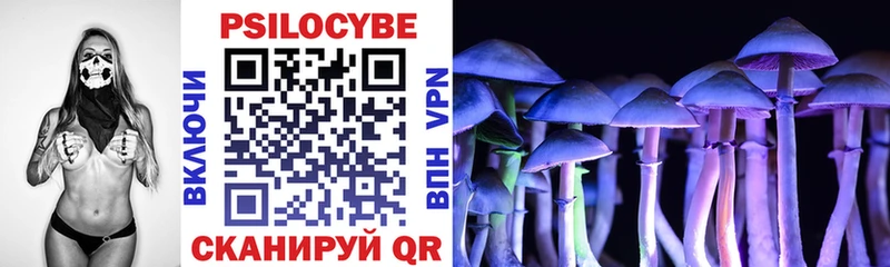 Псилоцибиновые грибы Psilocybine cubensis  даркнет телеграм  Боровск  наркошоп  мега рабочий сайт 